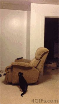 recliner gif|animated furniture memes.